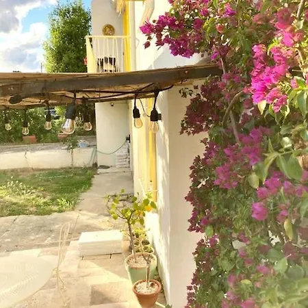 La Suite De La Maison Jaune Montpellier Exterior photo